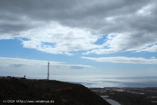  Finca Rustica Arico - SANTA CRUZ DE TENERIFE 