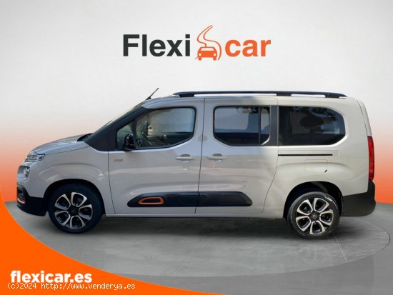 Citroën Berlingo Talla XL BlueHDi 130 S&S EAT8 SHINE - 5 P (2019) - Móstoles