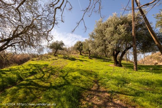 A LA VENTA FINCA RÚSTICA EN EL FARGUE - GRANADA