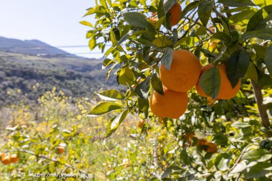 VENTA DE ESTUPENDO TERRENO URBANO EN EL VALLE - GRANADA