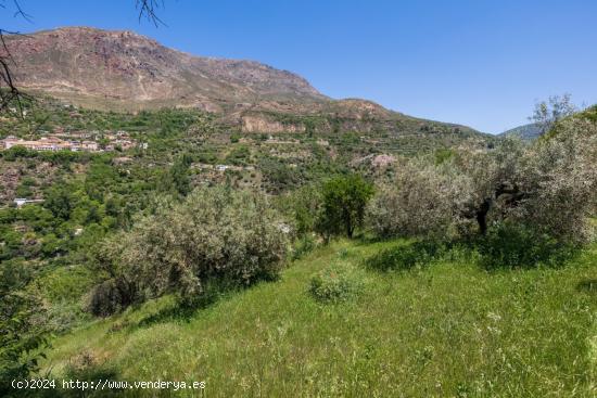 Terreno en venta Guejar Sierra - GRANADA