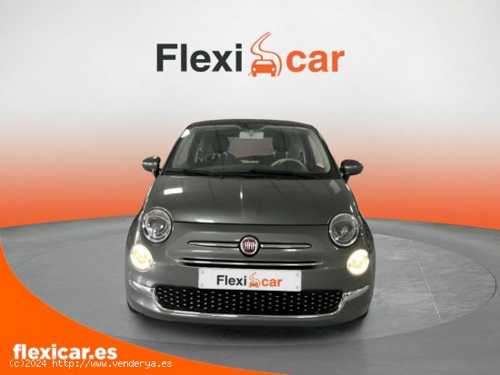 Fiat 500 Dolcevita 1.0 Hybrid 51KW (70 CV) - Alicante