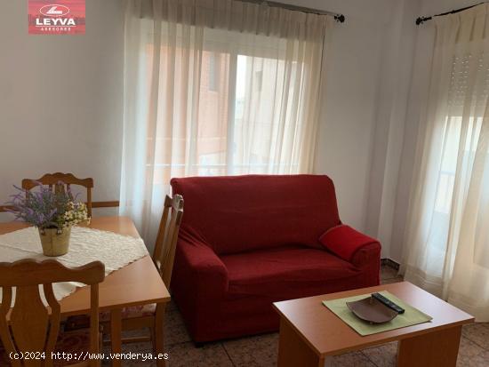 APARTAMENTO EN PLENO CENTRO - MURCIA