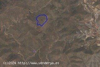 TERRENO DE UN TOTAL 30.000M2 - MURCIA