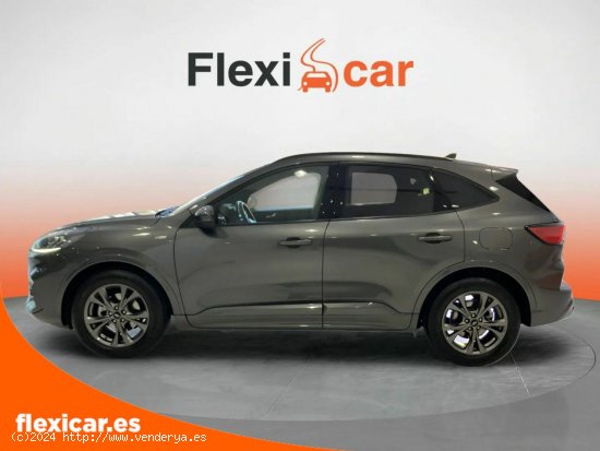 Ford Kuga ST-Line 1.5T EcoBoost 110kW (150CV) - Sevilla