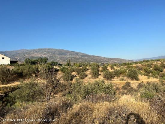 Finca en el Valle - GRANADA