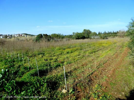 Finca rústica en Camí Vell de Cubelles con casa a rehabilitar - BARCELONA