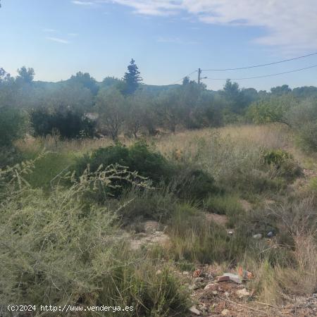 FANTÁSTICA PARCELA EN URB. MIRADOR DEL PENEDÉS MONTMELL - TARRAGONA