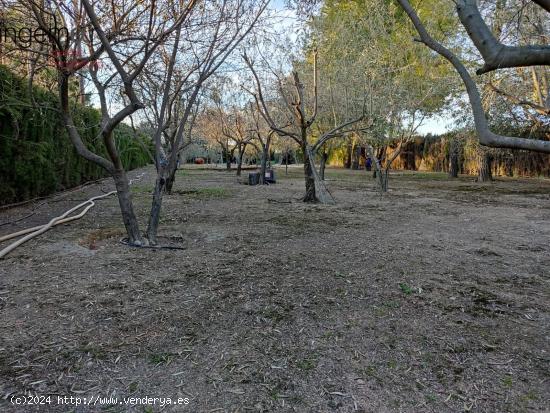  TERRENO EN VENTA URBANIZACION COLONIA LAS ROSAS - ALBACETE 