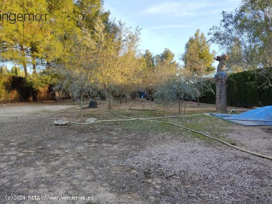 TERRENO EN VENTA URBANIZACION COLONIA LAS ROSAS - ALBACETE