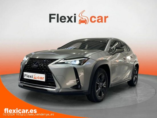 Lexus UX 2.0 250h Business Navigation - Toledo