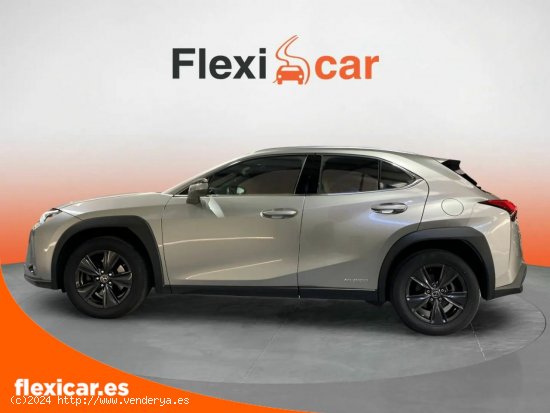 Lexus UX 2.0 250h Business Navigation - Toledo