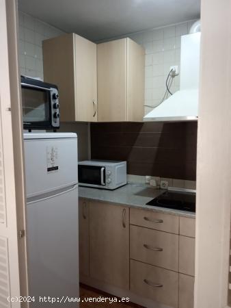 NUEVOS MINISTERIOS APARTAMENTO EN ALQUILER - MADRID