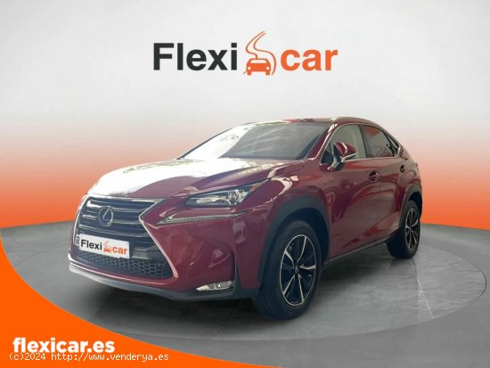 Lexus NX 2.5 300h Executive 4WD Tecno + Navibox - Sabadell