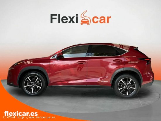 Lexus NX 2.5 300h Executive 4WD Tecno + Navibox - Sabadell