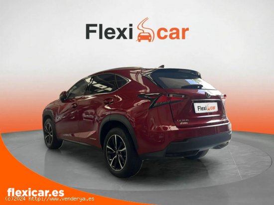 Lexus NX 2.5 300h Executive 4WD Tecno + Navibox - Sabadell