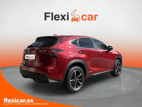 Lexus NX 2.5 300h Executive 4WD Tecno + Navibox - Sabadell