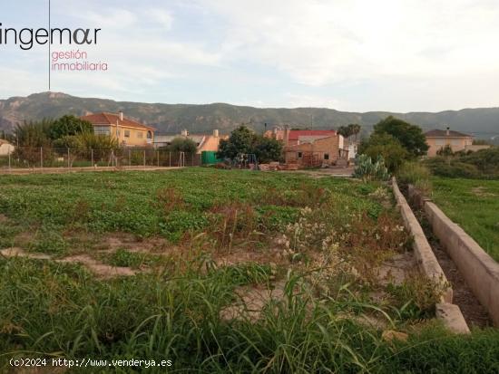 PATIÑO. PARCELA CON CASA CONSTRUIDA - MURCIA