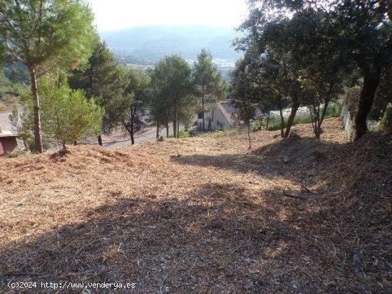  Terreno urbanizable en Avinyó - BARCELONA 