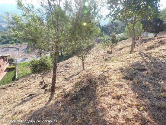 Terreno urbanizable en Avinyó - BARCELONA