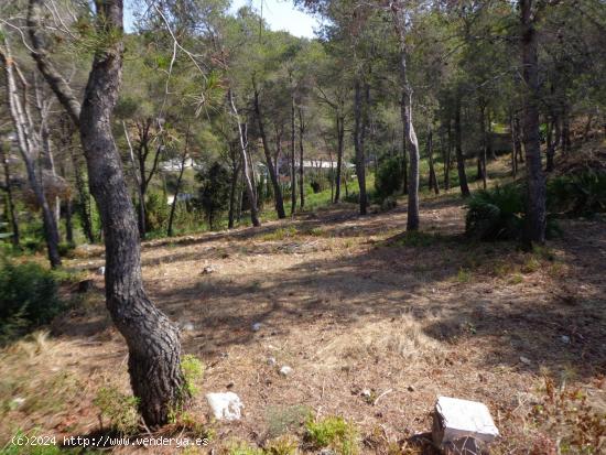 TERRENO EN URBANIZACIÓN CALIFORNIA. - BARCELONA