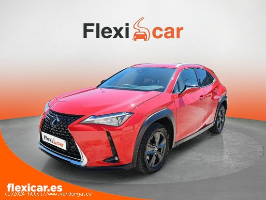 Lexus UX 2.0 250h Business - Málaga