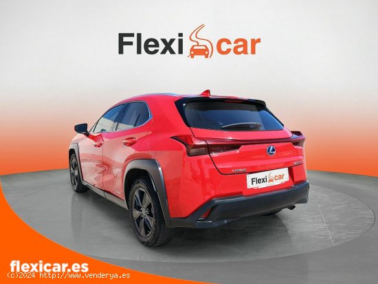 Lexus UX 2.0 250h Business - Málaga