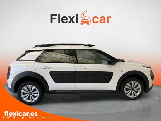 Citroën C4 Cactus BlueHDi 100 Aordream Business - Salamanca