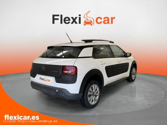 Citroën C4 Cactus BlueHDi 100 Aordream Business - Salamanca