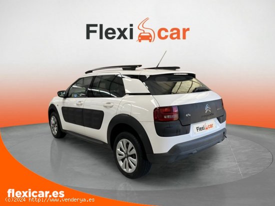 Citroën C4 Cactus BlueHDi 100 Aordream Business - Salamanca