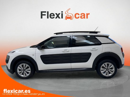 Citroën C4 Cactus BlueHDi 100 Aordream Business - Salamanca