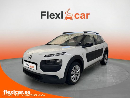 Citroën C4 Cactus BlueHDi 100 Aordream Business - Salamanca