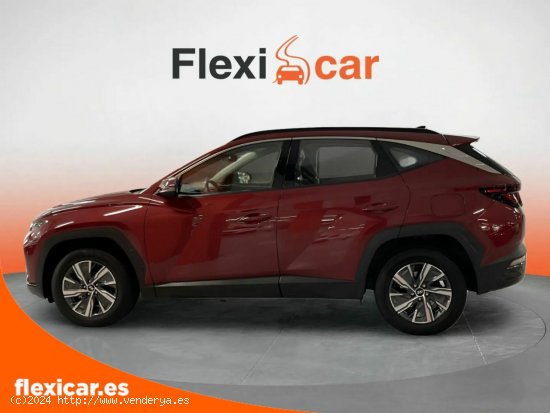 Hyundai Tucson 1.6 TGDI 169kW (230CV) HEV Maxx Auto - Badalona