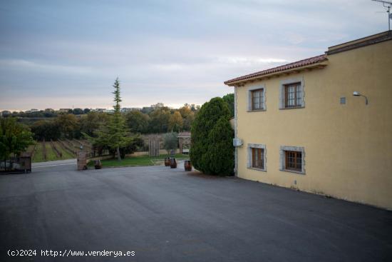 En venta Bodega en el Penedès. - BARCELONA