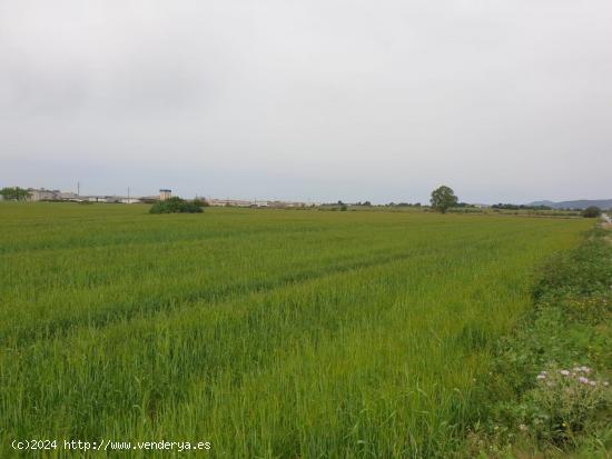 Venta Plan Parcial en Vilafranca del Penedes. - BARCELONA