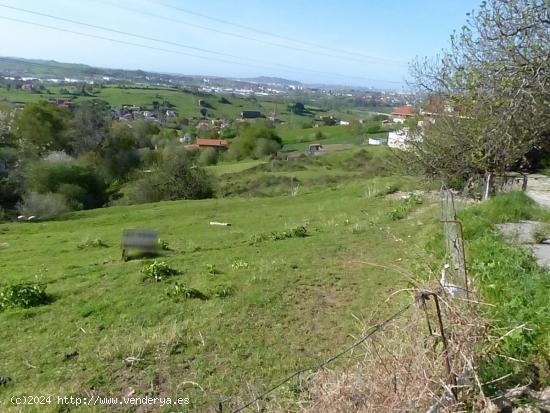  TERRENO EN LIAÑO - CANTABRIA 