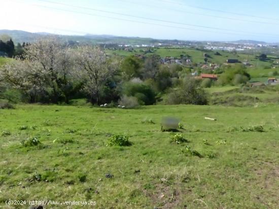 TERRENO EN LIAÑO - CANTABRIA