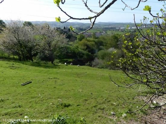 TERRENO EN LIAÑO - CANTABRIA