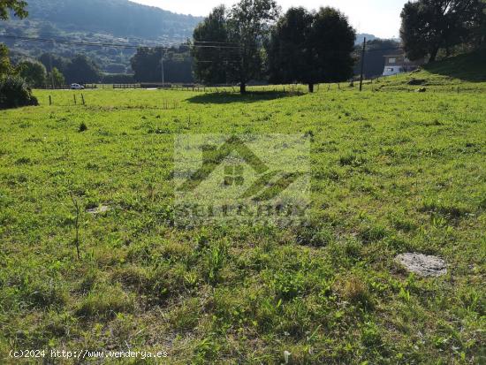 PARCELAS EN VILLANUEVA - CANTABRIA