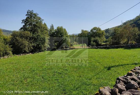  TERRENO ARENAS DE IGUÑA - CANTABRIA 