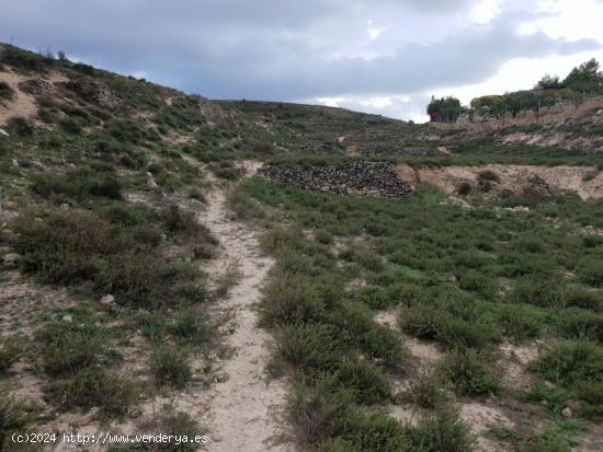 TERRENO RÚSTICO DE 6400 M2, EN PARTIDA DE LA MUELA. - TERUEL