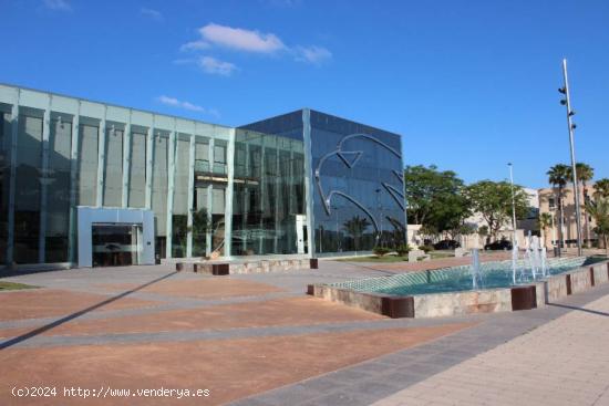 Oficinas Parque Elche Empresarial. - ALICANTE