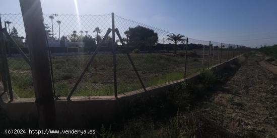 Terreno rural en Elche, 12000 m2 - ALICANTE