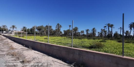 Construye la casa de tus sueños a  5 minutos del casco urbano de Elche - ALICANTE