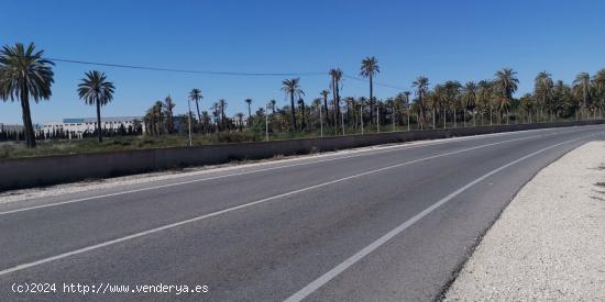 Construye la casa de tus sueños a  5 minutos del casco urbano de Elche - ALICANTE