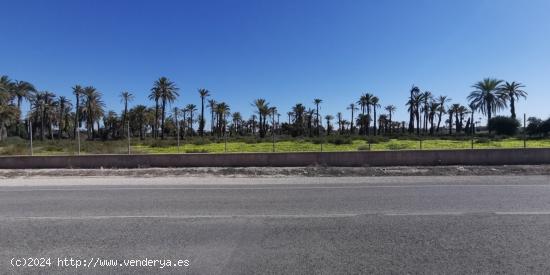 Construye la casa de tus sueños a  5 minutos del casco urbano de Elche - ALICANTE