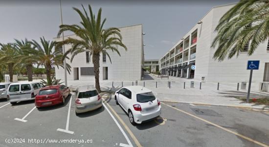 Mágnificas oficinas en Elche Parque Empresarial - ALICANTE