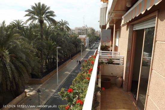 PISO CENTRICO CON VISTAS A HUERTO DE PALMERAS - ALICANTE