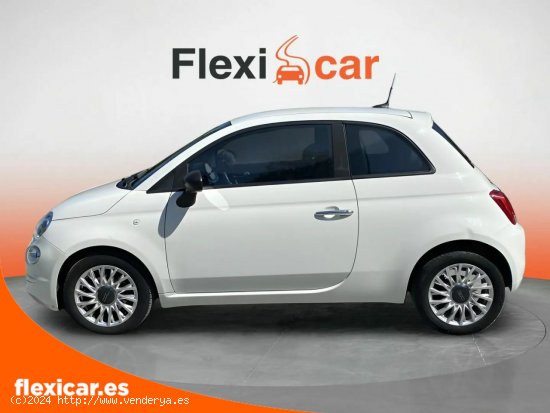 Fiat 500 Cult 1.0 Hybrid 51KW (70 CV) - Irun