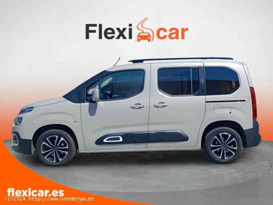 Citroën Berlingo Talla M PureTech 110 S&S FEEL - Santander